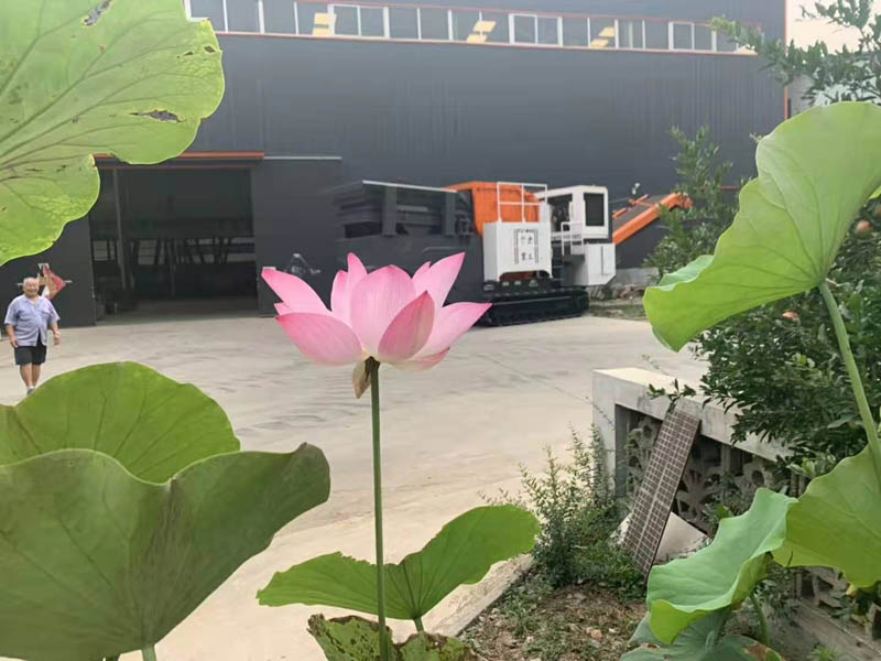 鹅卵石移动石子91香蕉国产在线观看机